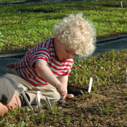 Trees, Plants and Seeds