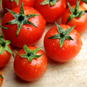 Tomatoes