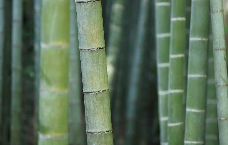 Our Fabrics – Bamboo