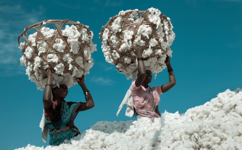 Our Fabrics – Organic Cotton