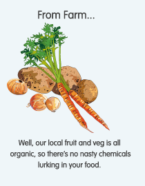 From Farm - All our fruit & veg is organic